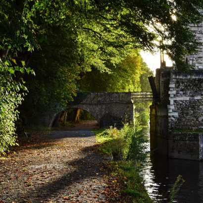 pexels-axp-photography-19136588 pexels-axp-photography-19136588