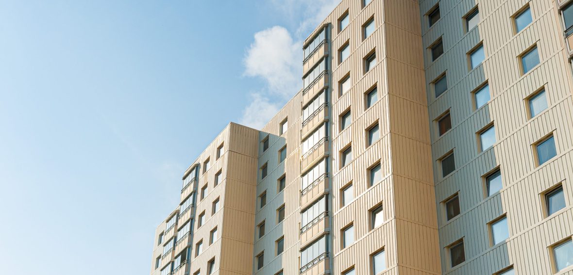 pexels-trygve-finkelsen-3029037 pexels-trygve-finkelsen-3029037